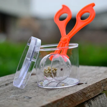 Plastikiniai Pobūdžio Žvalgybai Žaislų Rinkinys Vaikams Augalų, Vabzdžių Studijų Įrankis - Plastikiniai Žirkliniai Apkabos & Pincetu