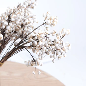 30cm Gamtos Konservuotos Gėlės Lajaus Medžio Vaisių, Džiovintų gėlių 