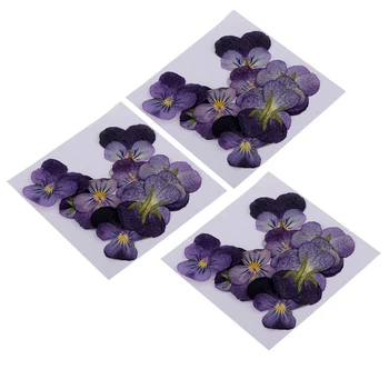 36 Vienetų Nekilnojamojo Violetinė Gėlių, Džiovintų Gėlių Puošmenų, 