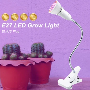 5V viso Spektro Led Grow Light Augalų Lempos Hydroponic LED USB Šiltnamio efektą sukeliančių Vis Lemputes Daigai, Gėlių Sėklos, Auga Palapinė Patalpų