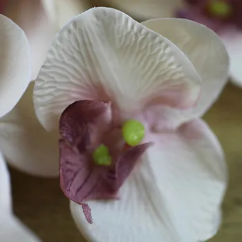Didelis, Ilgas Stiebas 11 Vadovai Šilko Orchidėja Phalaenopsis Gėlės Vestuvių Gėlių Puokštė Dirbtiniai Augalai Netikras Gėles Namų Dekoro
