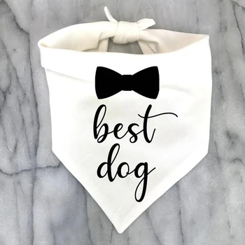 Dog Garbės Bandana Šalikas Vestuvės Vestuvinis nuotakos dušas nuotaka turi būti Bachelorette vištų šalis dekoro fotosesiją dovanų