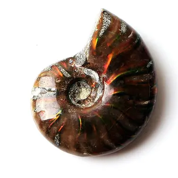 1pc Retos Raudonos Šviesos Ammonite Iškastinio Shell Spalvinga Iškastinio kriauklių Kolekcija Mineralinių Pavyzdys