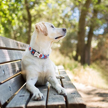 Asmeninį Šuo ID Apykaklės Nailono Individualų Šunų Antkaklis Su Žyma Lentele Nemokamas Graviravimas Mažas Vidutinis Didelis Šunys Pitbull