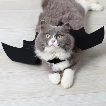 Helovinas pet šikšnosparnių sparnus katės kostiumas Augintiniai kostiumas dėvėti Helovinas dieną