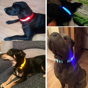 Nailono LED Naminių Šunų Antkaklis Šunims Šviesos Liuminescencinės Antkakliai Naminių Reikmenys Naktį Saugos Mirksi šviečia Tamsoje Šuns Pavadėlio