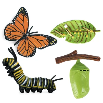 2020 Vabzdžių, Gyvūnų, Modelis, Modeliavimas Drugelis Augimo Ciklo Veiksmų Skaičiai Miniatiūrinės Statulėlės Švietimo Žaislai vaikams Dovanų