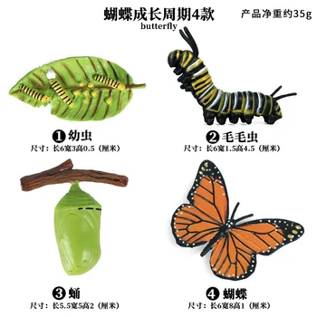 2020 Vabzdžių, Gyvūnų, Modelis, Modeliavimas Drugelis Augimo Ciklo Veiksmų Skaičiai Miniatiūrinės Statulėlės Švietimo Žaislai vaikams Dovanų