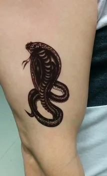 Laikina Tatuiruotė Lipdukas 10.5*6cm mados Kobra snake tatuiruotės vyrų tatto lipdukai 