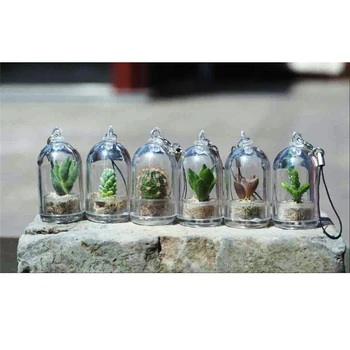 2vnt Atsitiktiniai Mini Sultingi Kaktusas Augalų Keychain su Stiklo danga Žalia Mėsingos Augalų Pakabukas paketų prižiūrėtojų raktinę Žavesio Amatų Dovanos Moterims