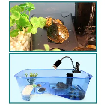 Roplių Vivarium Box Turtle Vėžlys su Milžinryklius Rampos Akvariumo Bakas Veisimo Maisto Įrankis