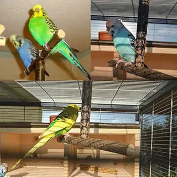 Paukštis Papūga, T Formos, Ešeriai, Šlifavimo Žaislas Narve Mokymo Kramtomoji Papūga Medienos Stovėti Žaislai Paukščių Reikmenys C42