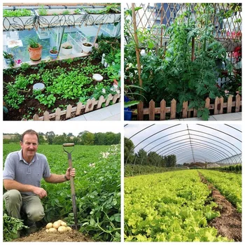 30 g Specialiųjų Gumbų plėsti Trąšų, Augalų Maisto Skatinti Šakniastiebiai Augimo šakniavaisiams Hydroponics Ūkių Daržovių