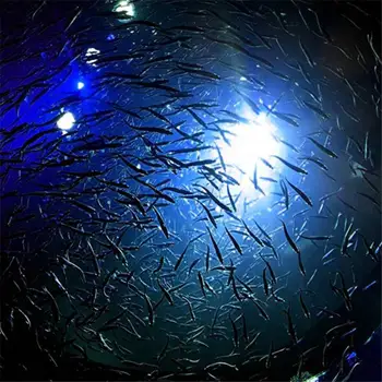 Tipas Žuvis Vilioja Šviesos samteliais Pritraukti Lempos Žvejybos Masalas LED Mirksi Šviesos Kalmarai Jauku 1 Vnt